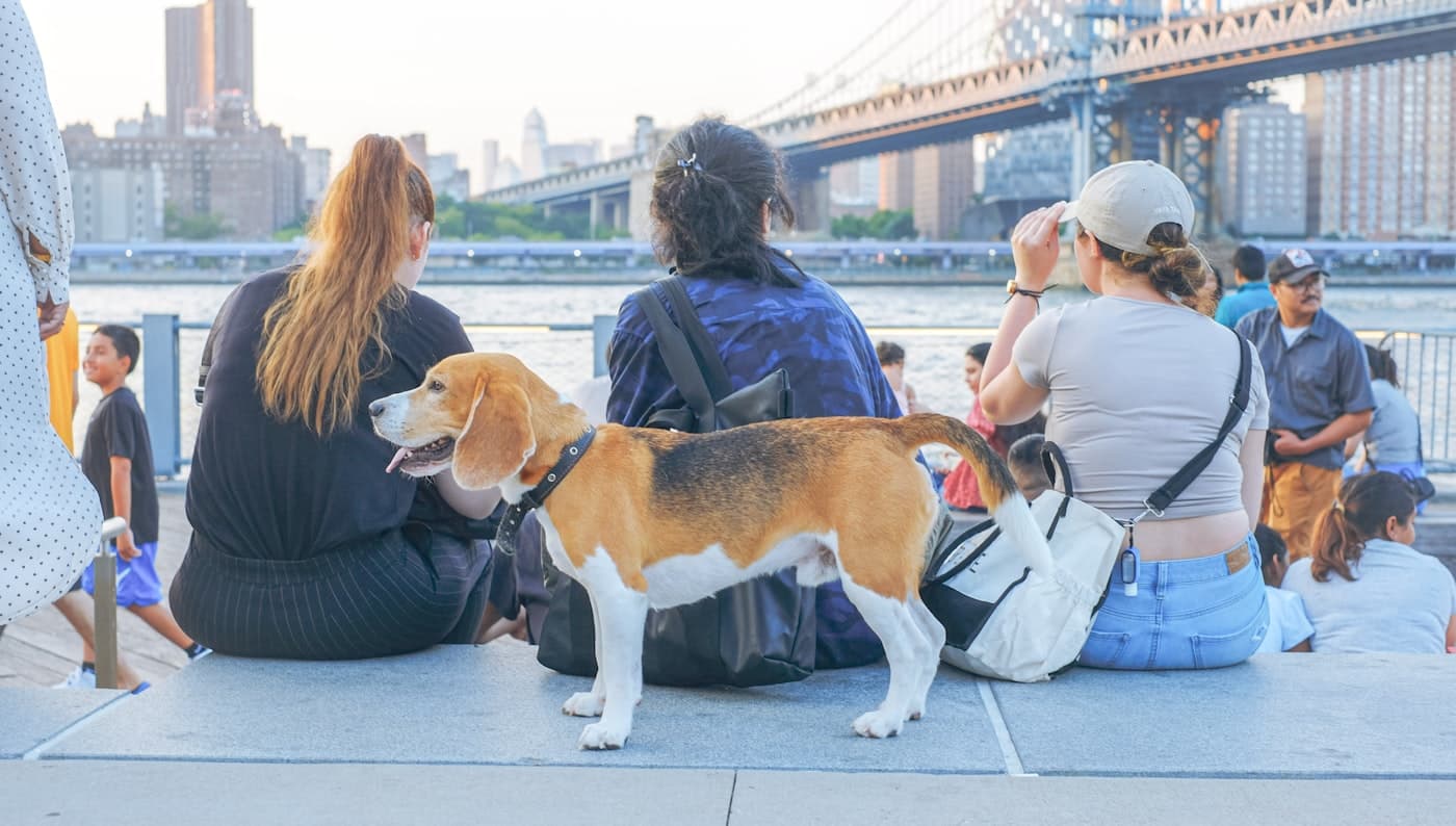 Dog parents sharing a waterfront moment while exact location stays private.
